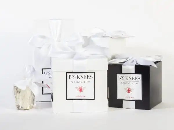 B's Knees Candles - 1 Wick/White Glass, Assorted Scents