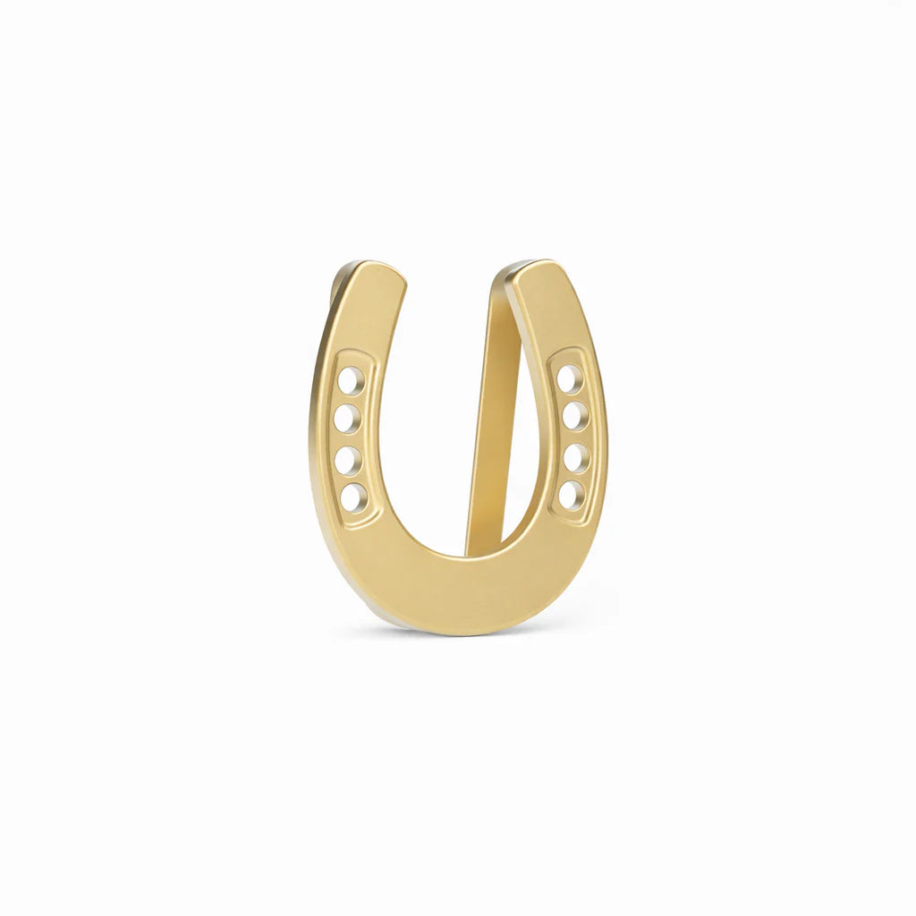 Lucky Horseshoe Skinny Scarf Slider