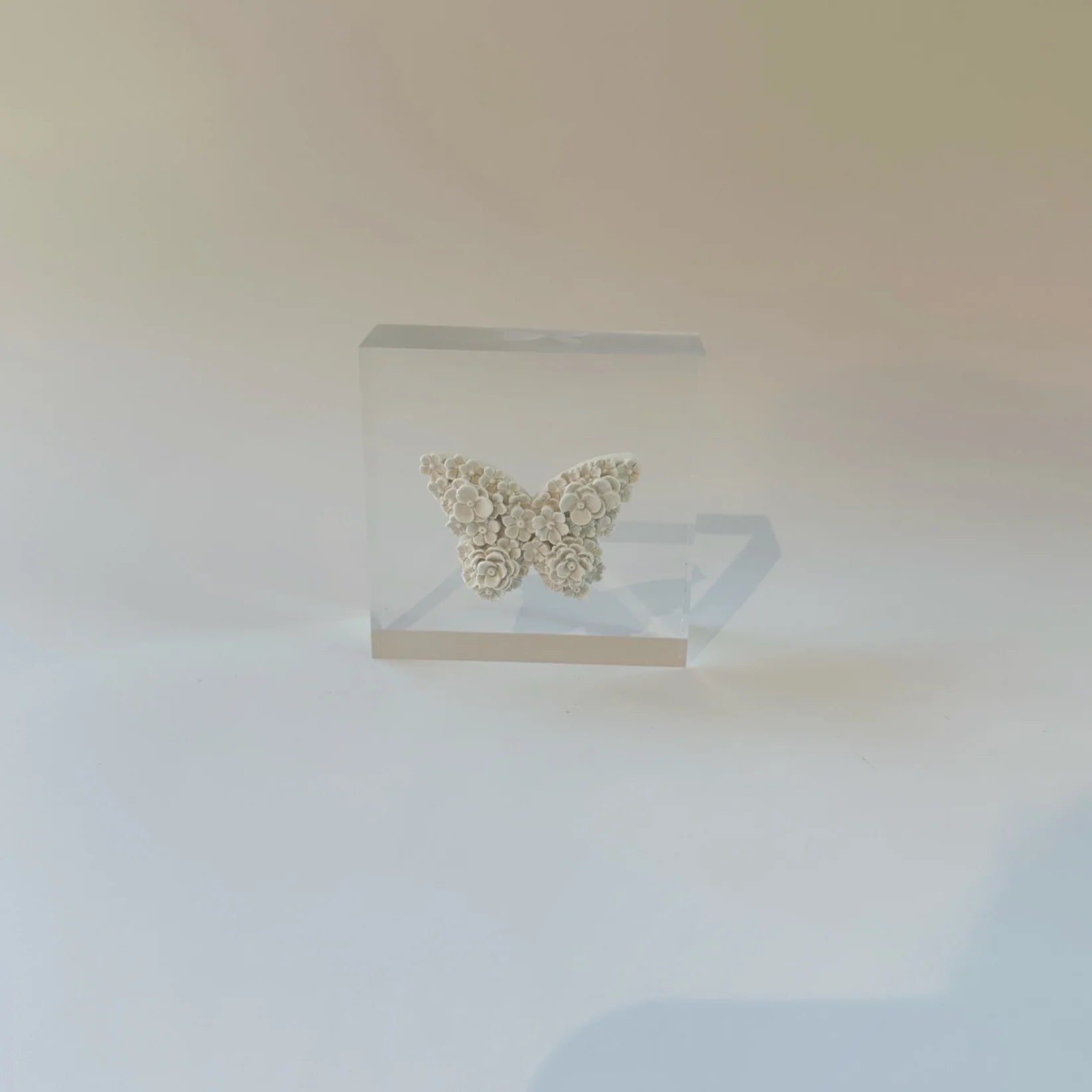 3x3 Acrylic Block, White Butterfly Intaglio